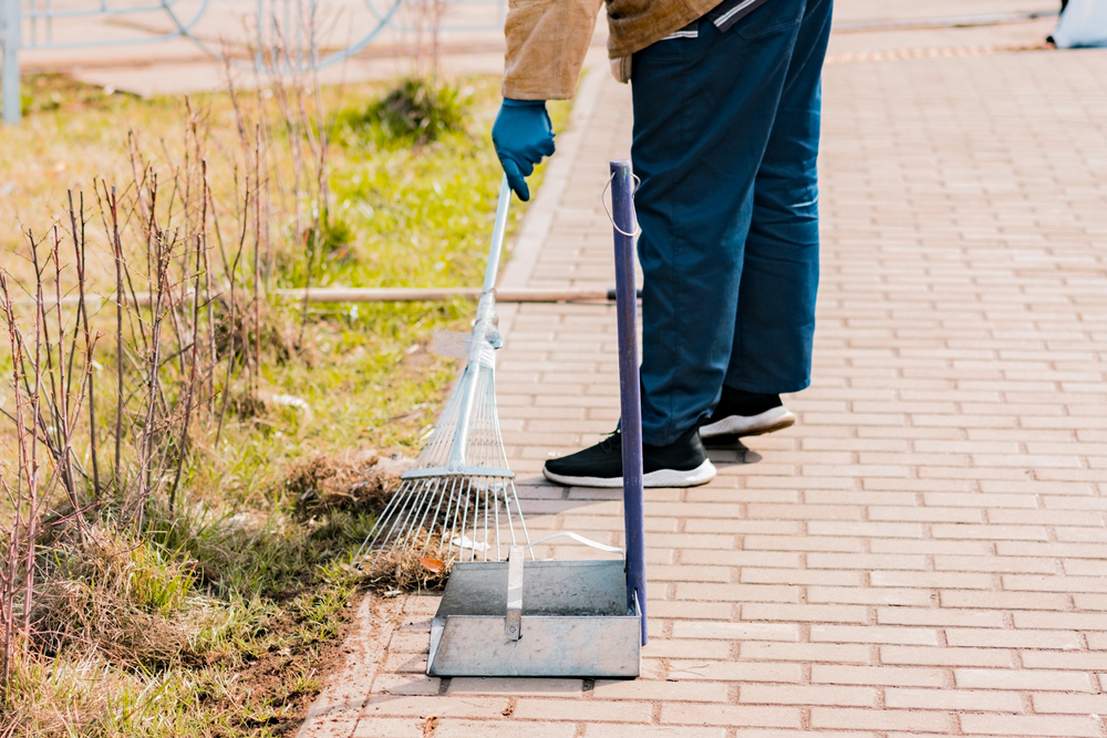 Fire Prevention Clean Up